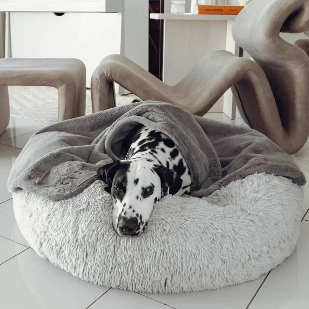 Double Weighted Luxury Blanket