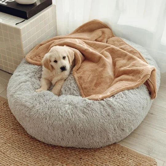 Double Weighted Luxury Blanket