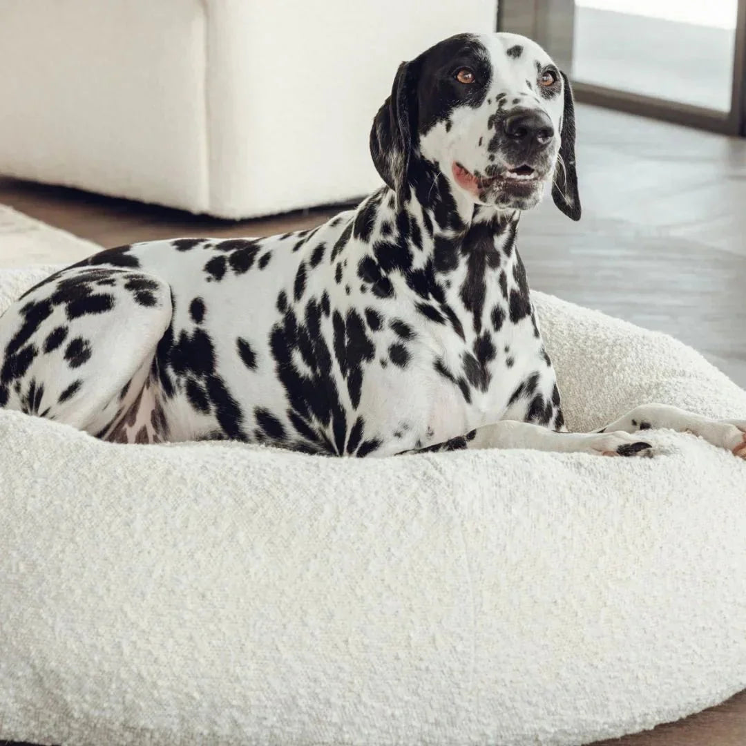 Luxury Boucle Dog Bed